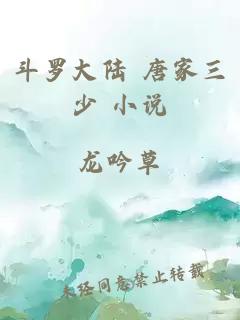 斗罗大陆 唐家三少 小说